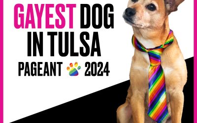Gayest Dog in Tulsa Pageant